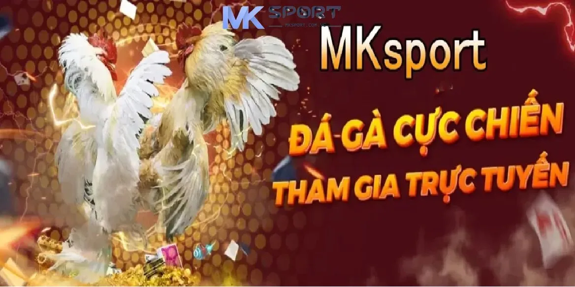 Tìm hiểu thông tin về đá gà Mksport